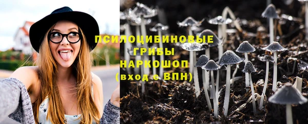 ГАЛЛЮЦИНОГЕННЫЕ ГРИБЫ Верхнеуральск