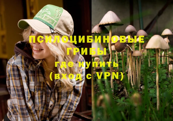 ГАЛЛЮЦИНОГЕННЫЕ ГРИБЫ Верхнеуральск